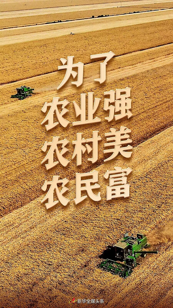 红桃影视